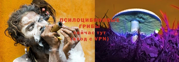 эйфоретик Богданович