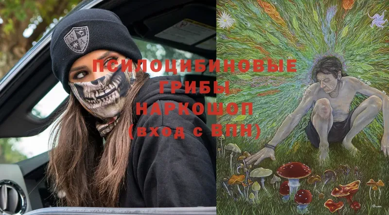 Псилоцибиновые грибы Psilocybine cubensis  Данилов 